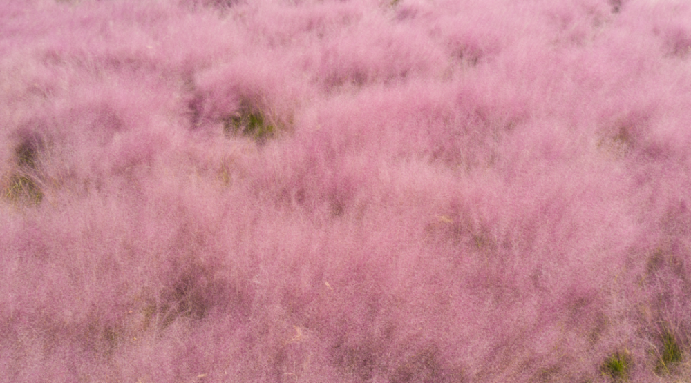 国产乱子伦无码精品小说:最新女生服装,国产乱子伦无码精品小说与最新女生服装,时尚与文学的交融 国产乱子伦无码精品小说:最新女生服装,国产乱子伦无码精品小说与最新女生服装,时尚与文学的交融