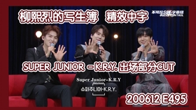 亚洲中文字幕久在线:08-14-18-29-45-48Q:36,亚洲中文字幕久在线,探索字幕的魅力与影响 亚洲中文字幕久在线:08-14-18-29-45-48Q:36,亚洲中文字幕久在线,探索字幕的魅力与影响