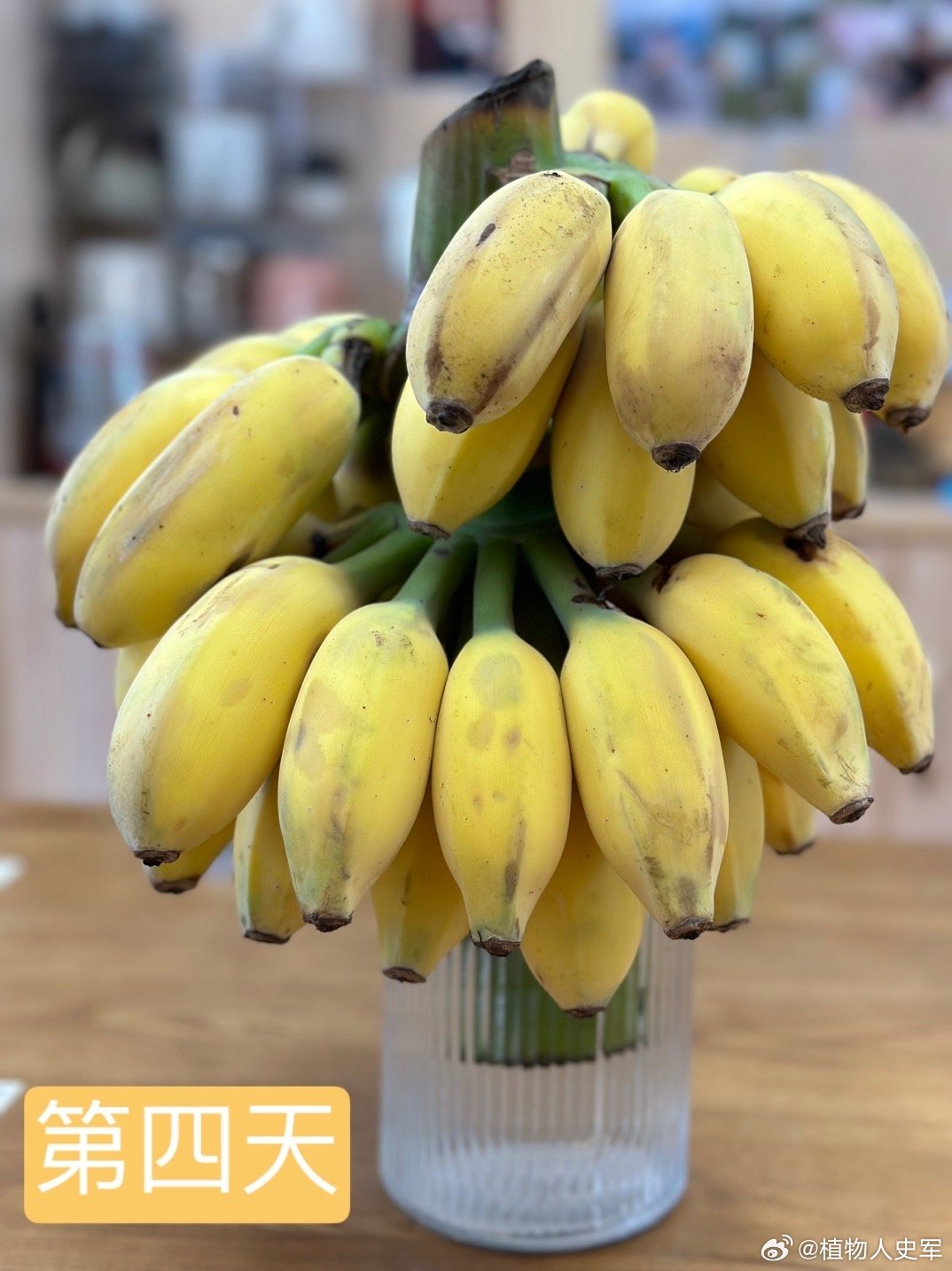 7777精品久久久大香线蕉:03-12-15-20-35-43R：03,探索数字世界的神秘魅力，7777精品久久久与独特符号的解读