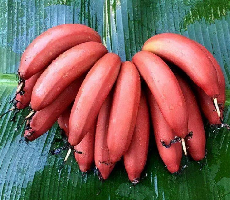 7777精品久久久大香线蕉:03-12-15-20-35-43R：03,探索数字世界的神秘魅力，7777精品久久久与独特符号的解读