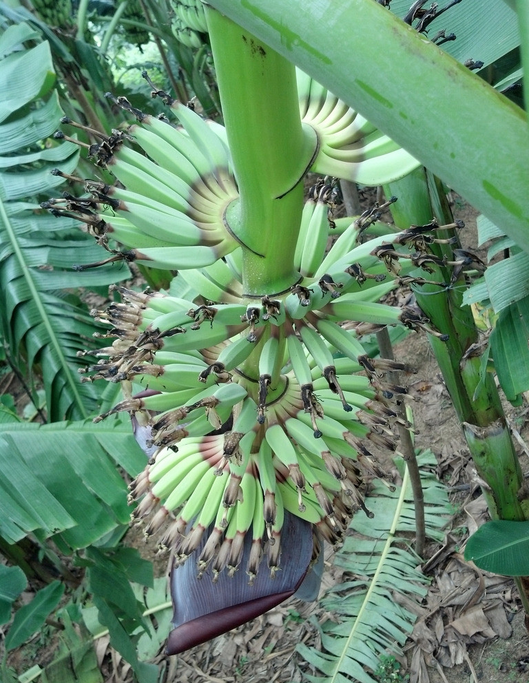 97精品伊人久久大香线蕉:14-20-21-25-38-46L：01,关于伊人久久大香线蕉的探讨——一种文化与艺术的交融