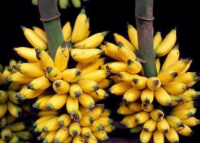 97精品伊人久久大香线蕉:14-20-21-25-38-46L：01,关于伊人久久大香线蕉的探讨——一种文化与艺术的交融