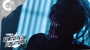 中文字幕无码中文字幕有码A:05-10-11-25-42-45N:08,中文字幕无码与中文字幕有码,探索数字时代的字幕文化 中文字幕无码中文字幕有码A:05-10-11-25-42-45N:08,中文字幕无码与中文字幕有码,探索数字时代的字幕文化