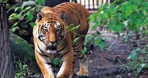 四虎成人精品无码永久在线:06-09-19-23-42-44N:43,关于四虎成人精品无码永久在线的一些探讨 四虎成人精品无码永久在线:06-09-19-23-42-44N:43,关于四虎成人精品无码永久在线的一些探讨