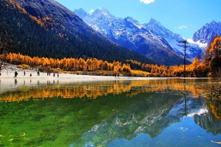 国产成人亚洲精品无码青青草原:05-10-11-25-42-45N：08,青青草原上的国产成人亚洲精品探索之旅