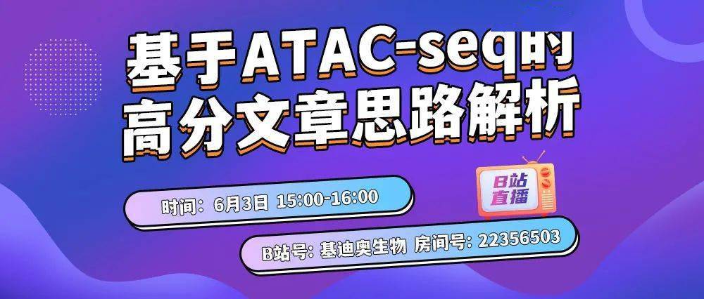 天天天天做夜夜夜做:09-15-22-25-38-46Q:09,天天夜夜,生活的节奏与追求,一个现代人的日常探索 天天天天做夜夜夜做:09-15-22-25-38-46Q:09,天天夜夜,生活的节奏与追求,一个现代人的日常探索