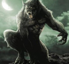 国产高清狼人香蕉在线:09-11-16-23-30-41C:25,探索国产高清狼人香蕉在线,一场视觉与想象的盛宴(关键词,国产高清狼人香蕉在线,09-11-16-23-30-41C,25) 国产高清狼人香蕉在线:09-11-16-23-30-41C:25,探索国产高清狼人香蕉在线,一场视觉与想象的盛宴(关键词,国产高清狼人香蕉在线,09-11-16-23-30-41C,25)