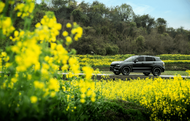 青草青草久热国产精品:01-09-10-34-41-47U：31,青草与国产精品，一场久热不衰的探寻之旅