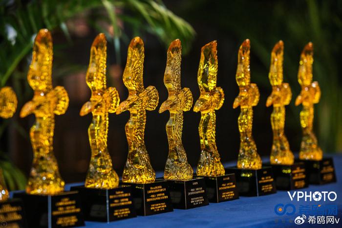 亚洲精品亚洲人成在线:21-22-28-42-45-49Y：08,亚洲精品，展现亚洲人的魅力与成就