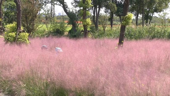 国产乱子伦60女人的皮视频:01-11-14-31-32-48R:06,国产乱子伦视角下的女性形象探索,深度解读60女人的皮视频 国产乱子伦60女人的皮视频:01-11-14-31-32-48R:06,国产乱子伦视角下的女性形象探索,深度解读60女人的皮视频