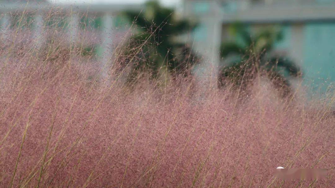 国产乱子伦60女人的皮视频:01-11-14-31-32-48R:06,国产乱子伦视角下的女性形象探索,深度解读60女人的皮视频 国产乱子伦60女人的皮视频:01-11-14-31-32-48R:06,国产乱子伦视角下的女性形象探索,深度解读60女人的皮视频