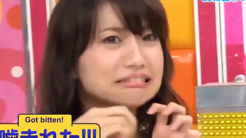 天天摸日日添狠狠添婷婷:10-19-22-27-28-40R：36,天天摸日日添，探索婷婷的魅力之旅（36R的独特体验）