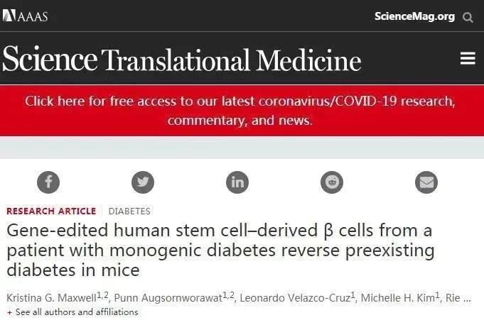 亚洲私人无码综合久久网:22-28-30-34-38-46A：02,亚洲私人无码综合久久网，探索成人娱乐的新领域
