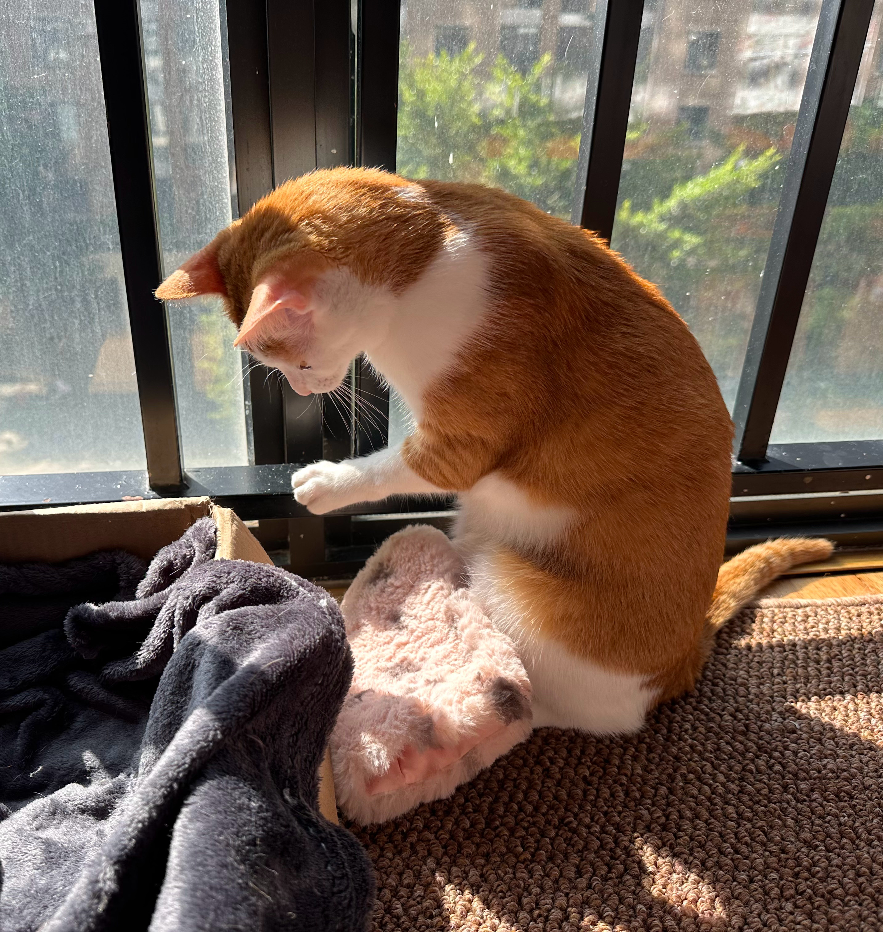 天天做天天摸天天爽天天爱:25-28-39-41-44-45H:14,天天做天天摸,探索情感与生活的无限可能 天天做天天摸天天爽天天爱:25-28-39-41-44-45H:14,天天做天天摸,探索情感与生活的无限可能